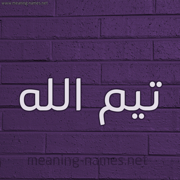 شكل 12 الإسم على الحائط الجداري صورة اسم تيمُ الله Timo-Allah